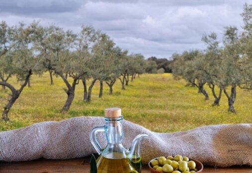 benifits-of-olive-on-the-body
